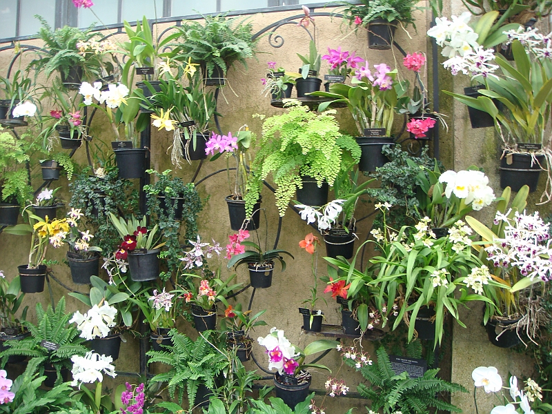 301 Longwood Gardens [2008 August 23].JPG - Longwood Gardens in Pennsylvania